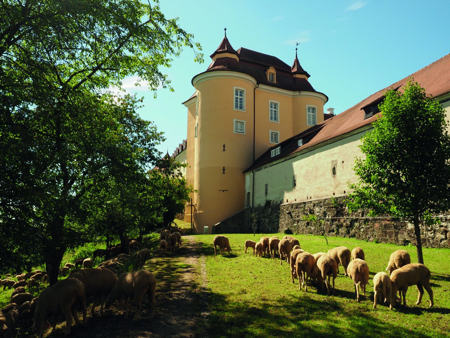 Führungen im Schloss ob Ellwangen Geschichts und Altertumsverein