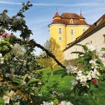 Frühling auf Schloss Ellwangen