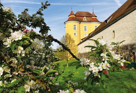 Frühling auf Schloss Ellwangen