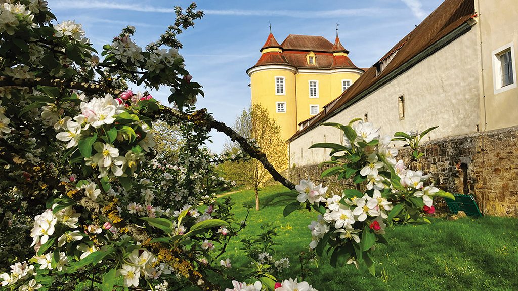 Frühling auf Schloss Ellwangen